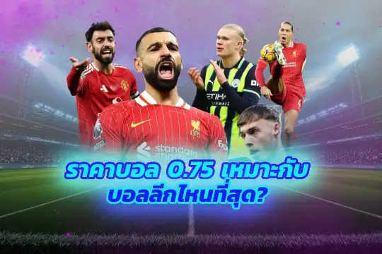 ราคาบอล 0.75 เหมาะกับบอลลีกไหนที่สุด?